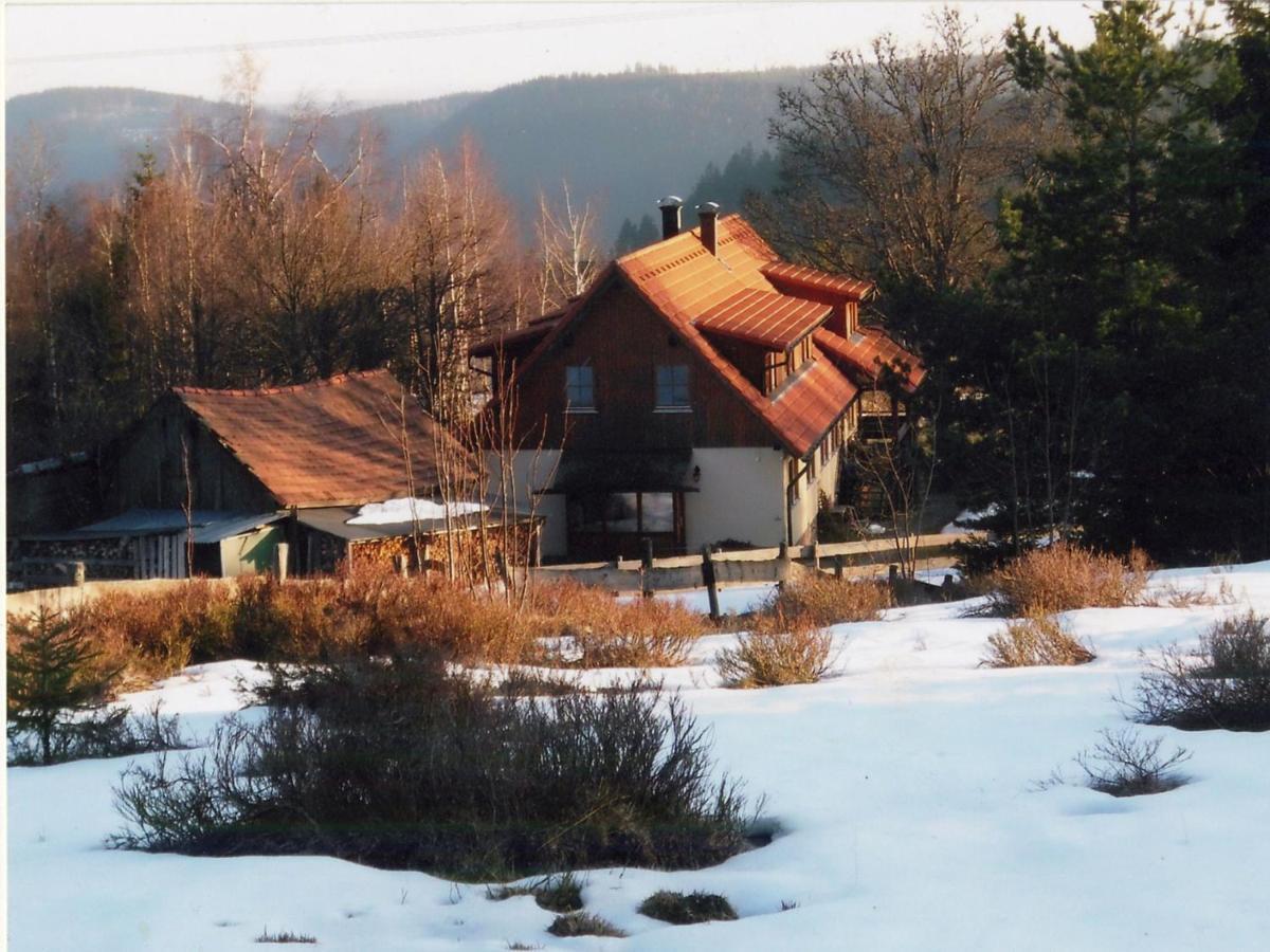 Landhaus Graf Appartement Kniebis Buitenkant foto