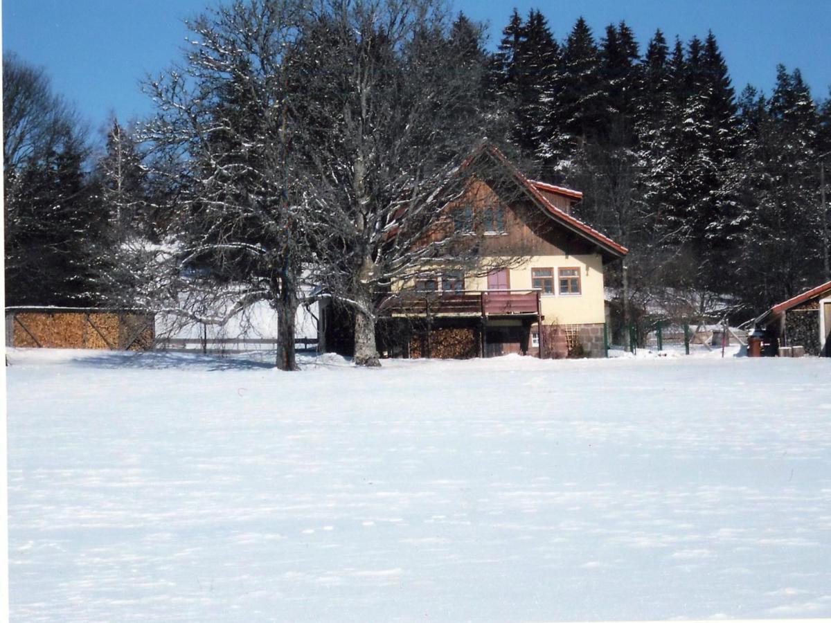 Landhaus Graf Kniebis Buitenkant foto
